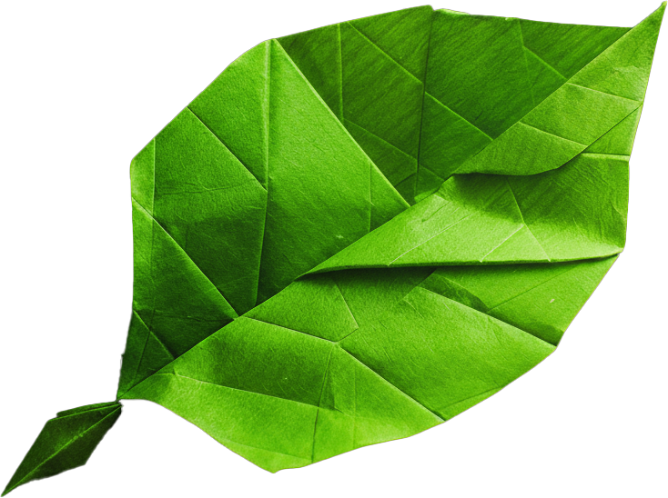 icon leaf
