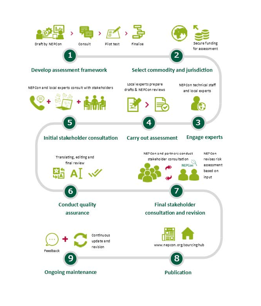 A step-by-step infographic showing the 9-stage process for developing a timber assessment framework, including stakeholder consultation and quality assurance.
