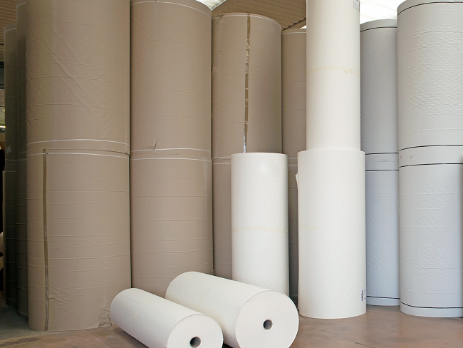 Large vertical rolls of Paktek brown kraft paper and white protective paper in a warehouse.